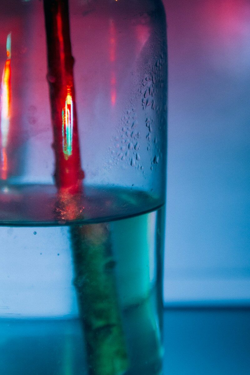 IV Drips 4 Red stem submerged in water with condensation on glass